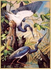 Arte pintada à mão pintura a óleo Louisiana garça sobre tela Home office decoração de parede comprar usado  Enviando para Brazil