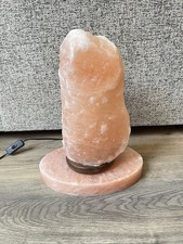 Extra large himalayan for sale  SOUTHSEA