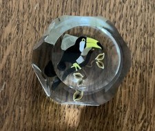 2001 PERTHSHIRE Facetado Empoleirado Toca Toucan Peso de Papel #99 de 250 comprar usado 2001 PERTHSHIRE Facetado Empoleirado Toca Toucan Peso de Papel #99 de 250 comprar usado  Enviando para Brazil