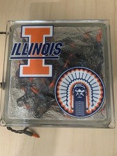 Uiuc fighting illini for sale  Savoy