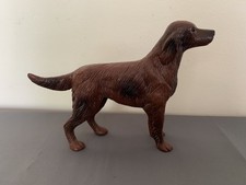 red setter for sale red setter for sale ROTHERHAM