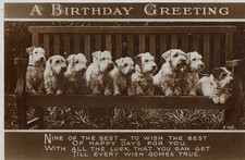 Vintage birthday greeting for sale  MATLOCK