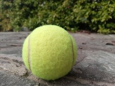 Palline tennis usate usato  Pagnona