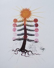 Salvador dali arbre d'occasion  Saint-Médard-en-Jalles