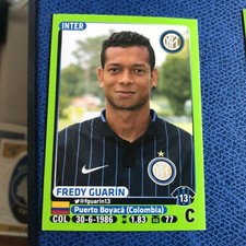 Panini calciatori 2014 usato  Canelli