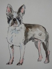Original dog watercolour for sale  ABERYSTWYTH