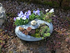 Blumenampel alte wärmflasche gebraucht kaufen  Deutschland