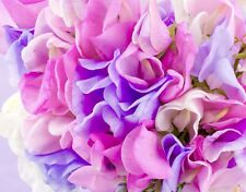 Heaven scented mix for sale  DEWSBURY