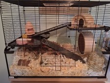 Small rodent cage for sale  CHORLEY