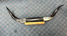 Vtg mounted steer for sale  Tulsa