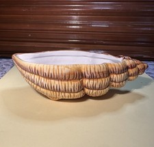 Sea shell ceramic for sale  Pasadena