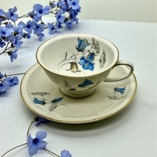 Rosenthal winifred teacup for sale  Winterville