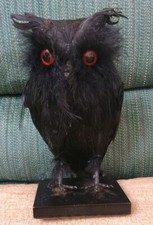 Halloween spooky black for sale  Cincinnati