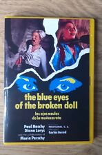 Giallo blue eyes for sale  LEIGH-ON-SEA