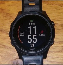 Garmin forerunner 945 gebraucht kaufen  Lichtenau