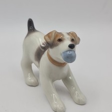 fox terrier puppies for sale fox terrier puppies for sale FALKIRK