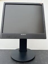 Monitor pollici sony usato  Villarosa