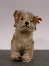 Si42 steiff hündchen gebraucht kaufen  Karlsruhe
