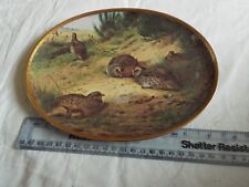 Davenport partridge grassy for sale  IVER