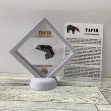 Tapir extinct prehistoric for sale  Davenport
