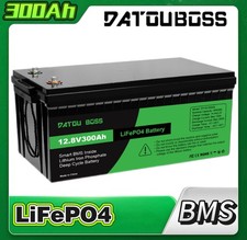 12v 300ah lithium gebraucht kaufen  Euskirchen
