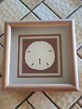 Sand dollar framed for sale  Glendale