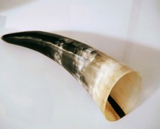 Trinkhorn füllhorn methorn gebraucht kaufen  Köln