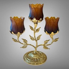Faroy amber tulip for sale  Eden Prairie