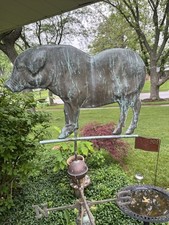 American copper full for sale  Glen Ellyn