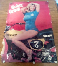 Rare original vintage for sale  Nescopeck