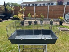 Medium indoor rabbit for sale  WITHAM