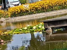 Wohnwagen vorzelte gebraucht gebraucht kaufen  Bielefeld