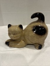 Small siamese cat for sale  Sterling