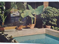Vintage cartoline chianciano usato  Roma