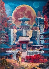 Displate ultra limited gebraucht kaufen  Berlin
