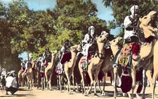 Algérie tamanrasset peleton d'occasion  France