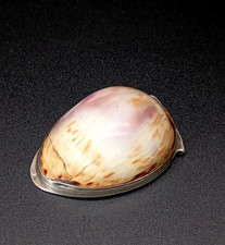 Tabacchiera antica argento usato  San Giuliano Milanese