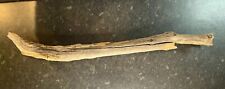 Large driftwood branch for sale  PORTSMOUTH