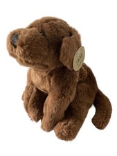 Jaag puppy dog for sale  Lancaster