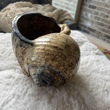 Planter ceramic sea for sale  Easley