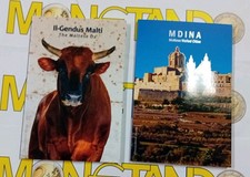 Malta coppia euro usato  Villachiara