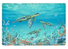 Usado, Tapete de banho Coastal Ocean tartaruga marinha para banheiro tapete de banho capacho 24x16 polegadas comprar usado  Enviando para Brazil