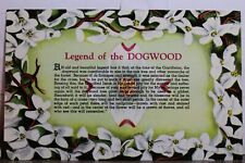 Scenic legend dogwood for sale  Shipping to Ireland