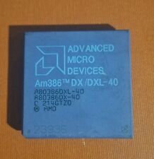 Vintage cpu amd usato  Solaro