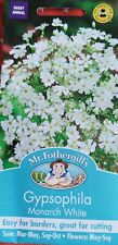 Fothergill gypsophila monarch for sale  BRACKNELL