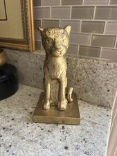 Single leopard cheetah for sale  Manassas