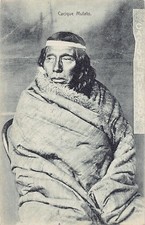 Chile cacique mulato d'occasion  France