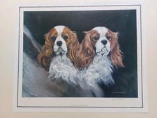 King charles spaniels for sale  LONDON