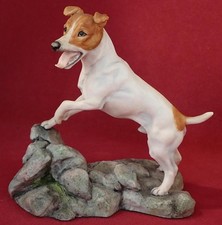 Heredities jack russell for sale  ROCHESTER