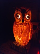 Wunderschöne eulen lampe gebraucht kaufen  Würselen